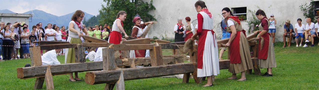 Tradicionalna etnološka prireditev DAN TERIC V DAVČI,